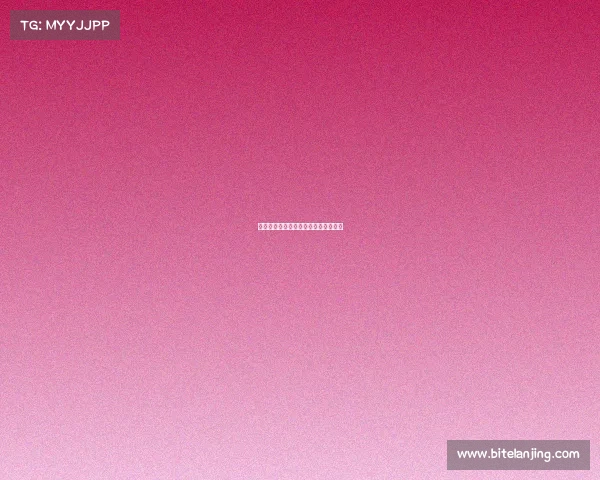 全球航模巅峰对决世界锦标赛荣耀之战